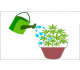 Irrigazione cannabis innaffiare le piante senza commettere errori