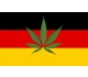 La Germania Legalizza la Cannabis Approvando la Miglior Legge Europea