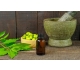 Olio di neem sulle piante, un rimedio naturale efficace per il tuo orto e giardino 