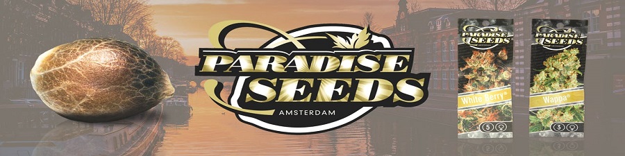 PARADISE SEEDS