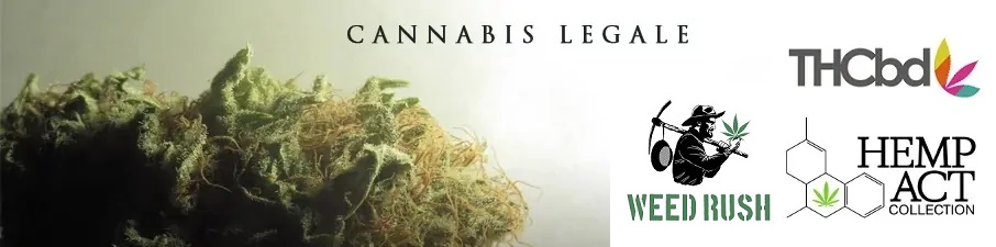 Cannabis legale