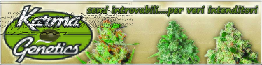 Karma Genetics Karma Genetics