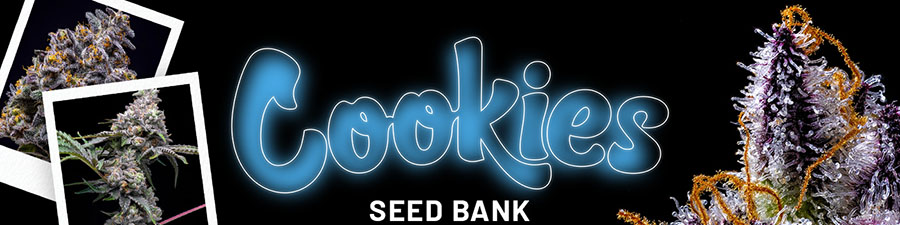 COOKIES SEEDS BANK COOKIES SEEDS BANK