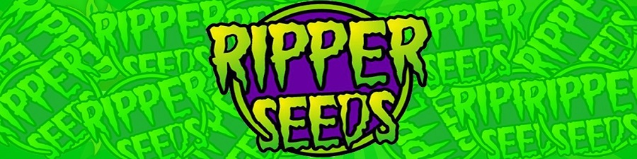 RIPPER SEEDS