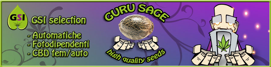 GURU SAGE SEEDS