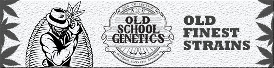 OLD SCHOOL GENETICS
