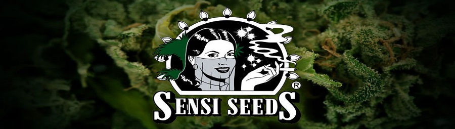 SENSI SEEDS