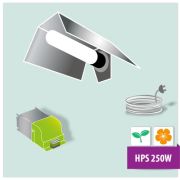 Kit illuminazione Lampada HPS Sylvania Grolux 250W