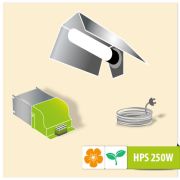 Kit Luce Lampada HPS AGRO 250W basic