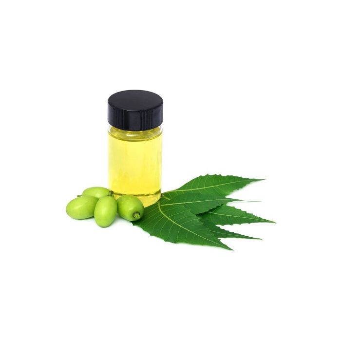 olio di neem pianta