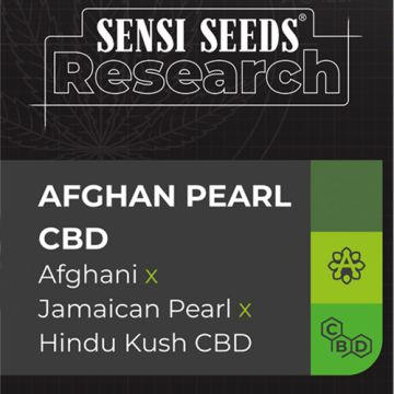 AFGHAN PEARL CBD AUTO