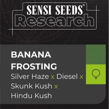 Sensi Seeds Banana Frosting - Femminizzata
