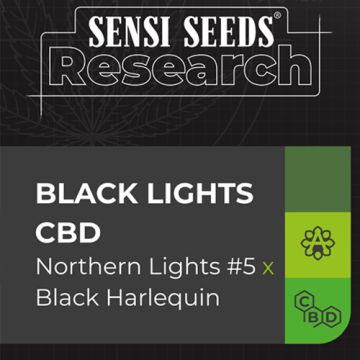 Sensi Seeds Black Lights CBD - Autofiorente Terapeutica