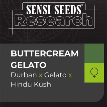 Sensi Seeds Buttercream Gelato - Femminizzata