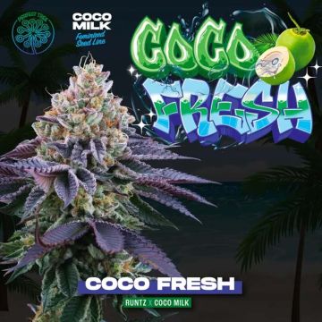 Coco Fresh Perfect Tree