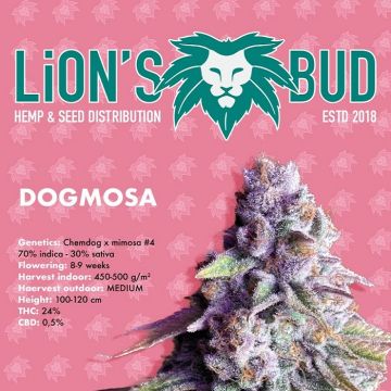 Dogmosa Lion's Bud