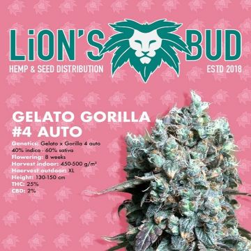 Gelato Gorilla#4 Auto Lion's Bud