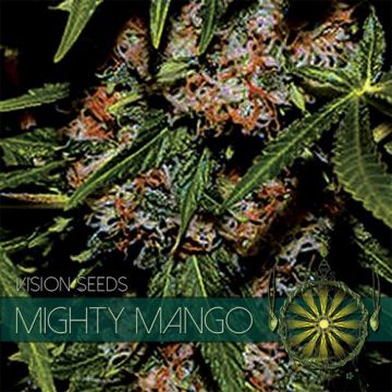 Mighty Mango Bud