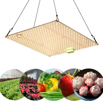 infinitoo Lampada per Piante, Grow Light Lampade LED Piante