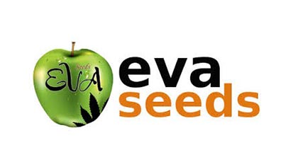 eva seeds