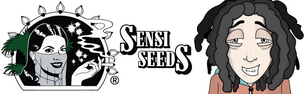 sensi seeds bank
