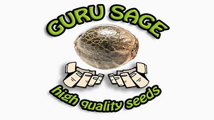 guru sage seeds