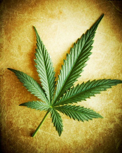 marijuana legale eletta campana