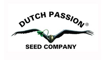 dutch passion auto