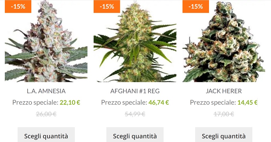 Germinazione dei Semi di Cannabis Tecniche e Consigli - Grow Shop Italia