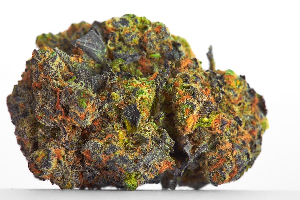 fiore marijuana legale